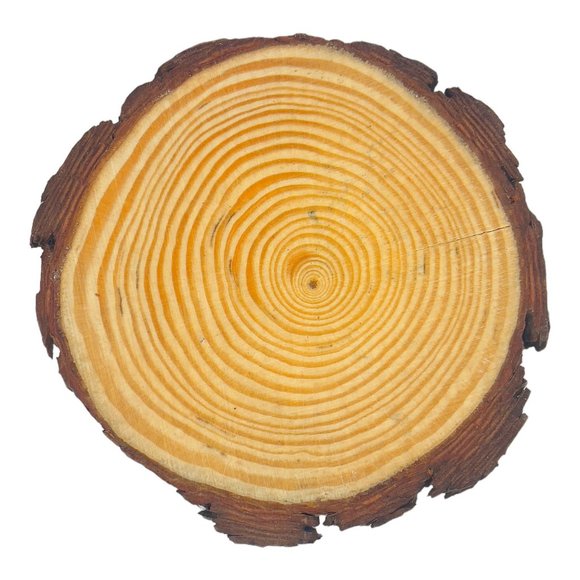 Wood Coasters Decoupaged Art with Yellow Sunflowers and Vintage Truck Napkins - Picture 4 of 12